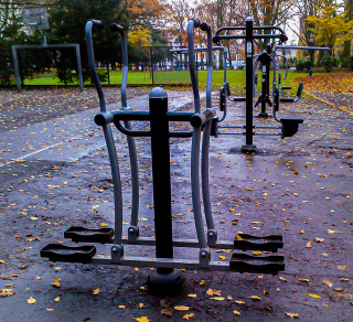 Nordic Walker Duo extra image 3
