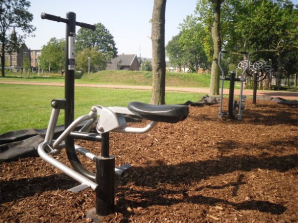 OFS calisthenics park